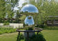 Mirror Polished Mushroom Famous Modern Art Sculptures Outdoor Garden Decor