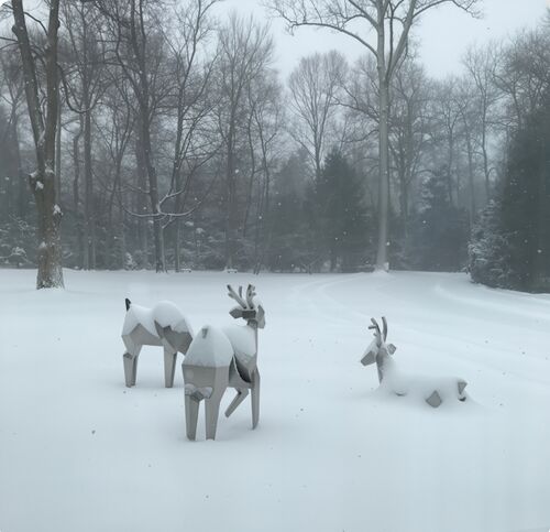 Laatste bedrijfsblogs The Crystalline Herd: Where Nature Meets Geometry