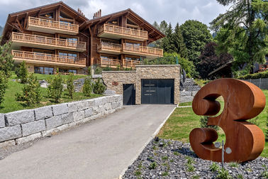 Goede prijs. Nummer 3 van het het Staalbeeldhouwwerk van Ontwerpcorten de Roestige Beeldhouwwerken voor Woondecoratie online