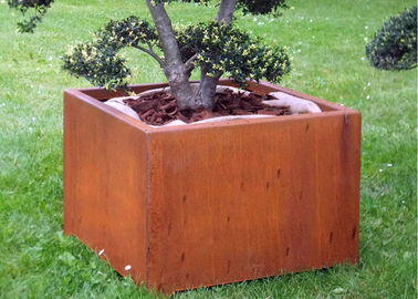 Goede prijs. Het Staalplanter van Corten van de doosvorm voor Openlucht/Tuin/Openbare Decoratie online